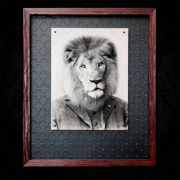 Leonard Lion - 18x24 Metal picture