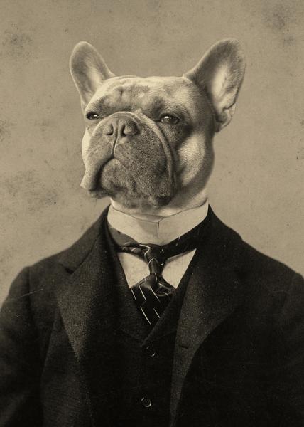 Ferdinand Frenchie - 8x10 Print