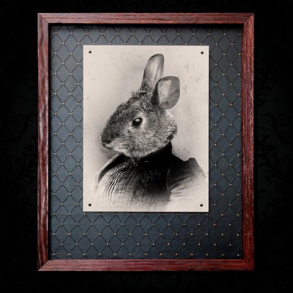 Rosie Rabbit - 18x24 Metal picture