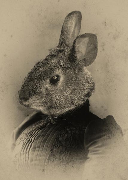 Rosie Rabbit - 8x10 Print