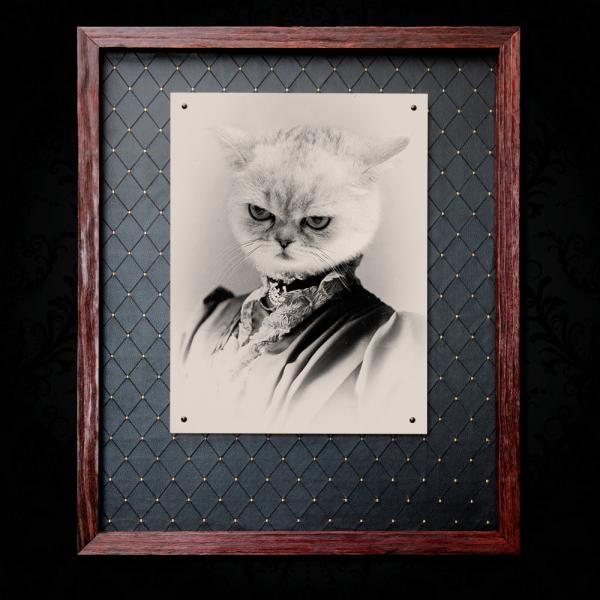 Kizzy Kitty - 18x24 Metal picture