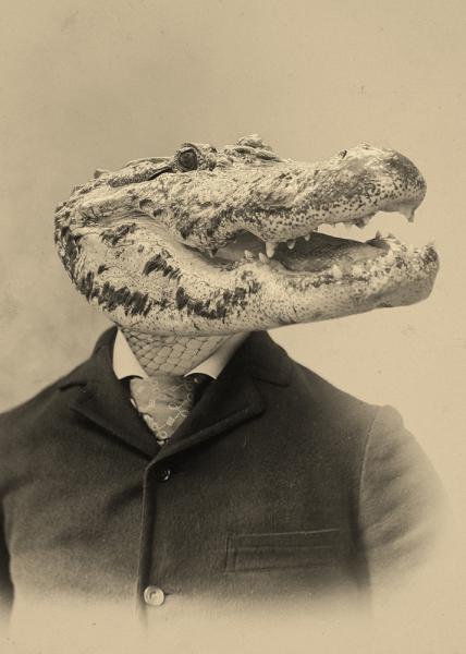 Gary Gator - 8x10 Print