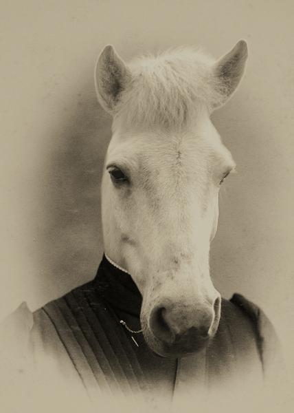 Henry Horse - 20x30 Canvas picture