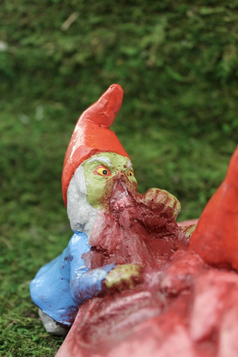 Bye Bye Birdie picture