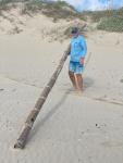 The Big Bamboo