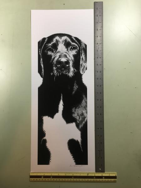 Murphy print picture
