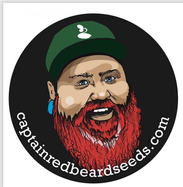 Captain Redbeard Seeds