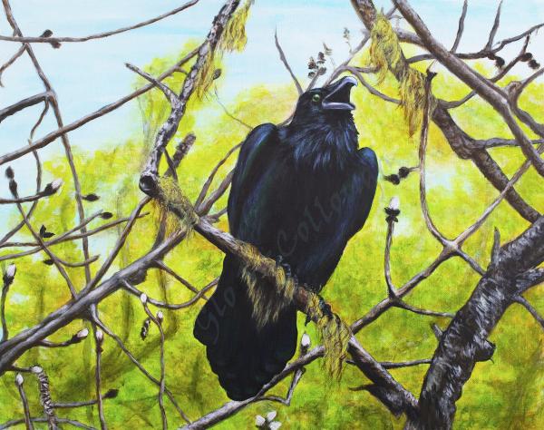 Blackbird sings 11x14" Print picture