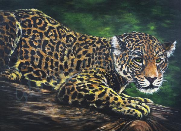 The Jaguar 11x14" Print