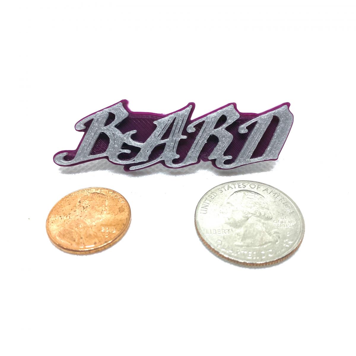 Bard Class Pin picture