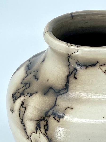 Horse Hair Vase picture