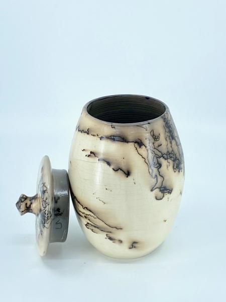 Lidded Horse Hair Vessel picture