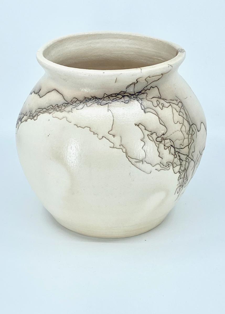 Horse Hair Vase/Planter picture