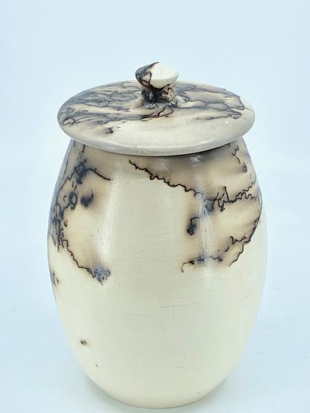 Lidded Horse Hair Vessel picture