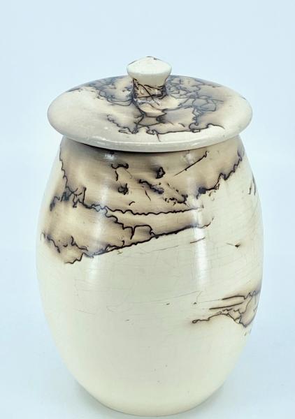 Lidded Horse Hair Vessel picture