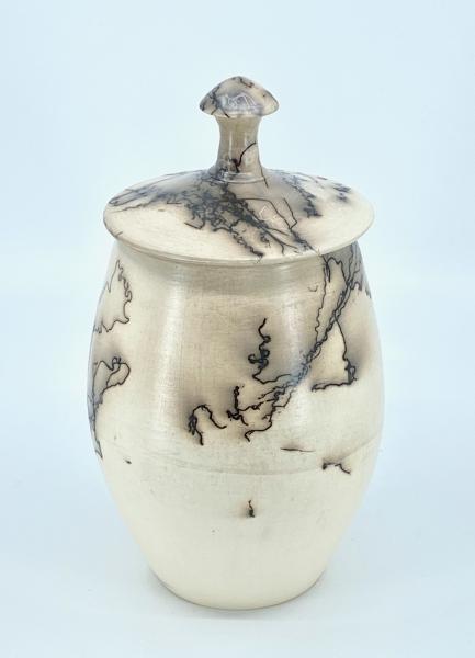 Lidded Horse Hair Vessel picture