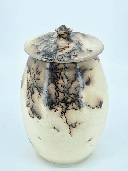 Lidded Horse Hair Vessel picture
