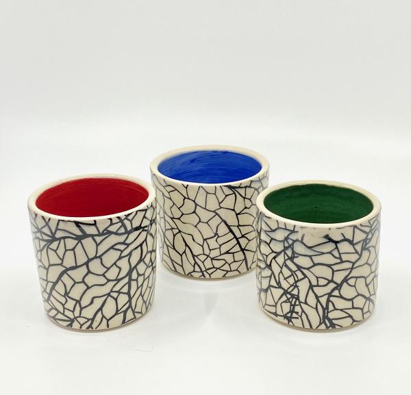 Fractal Printed Tumblers