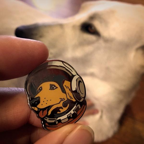 Space Dog pin picture