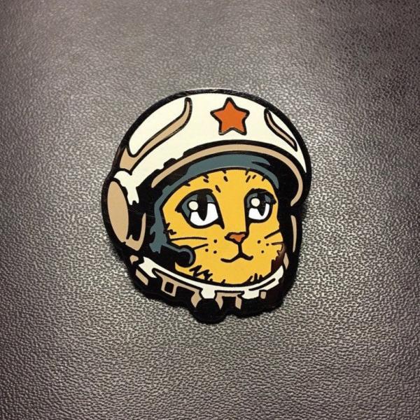 Space Cat pin picture