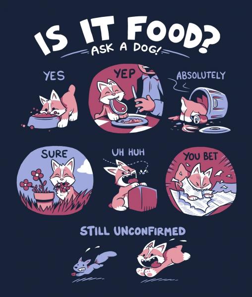 Is It Food T-shirt picture