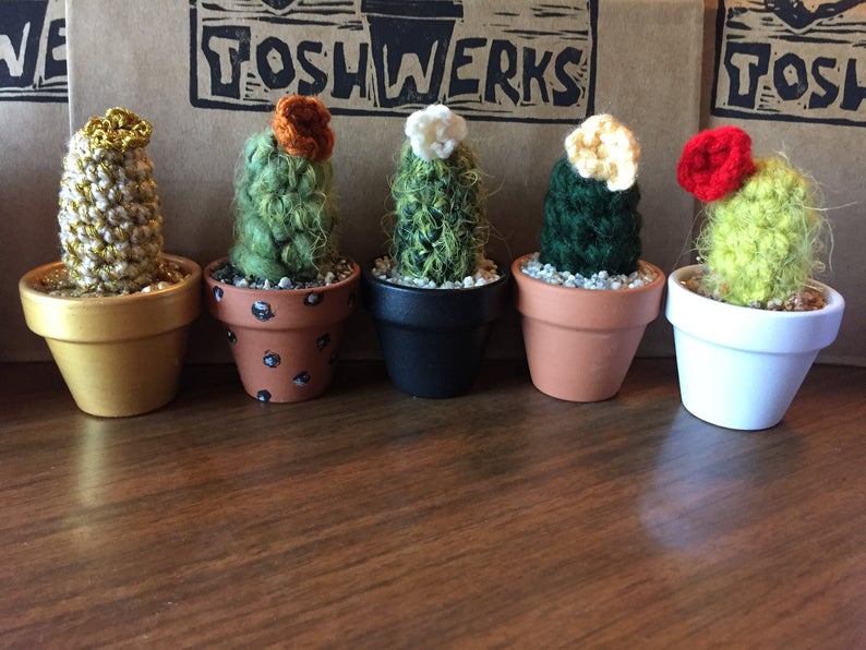 Mini Mystery Crocheted Cactus picture