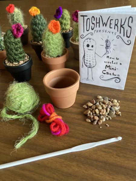 DIY Crochet Cactus Kit picture