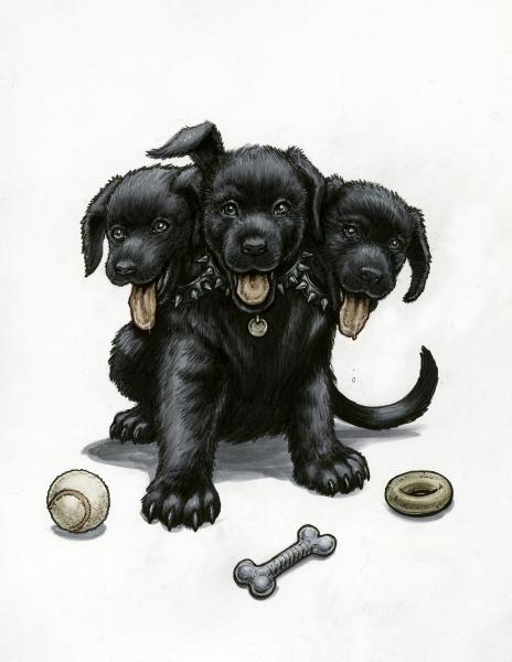 Cerberus Puppy picture