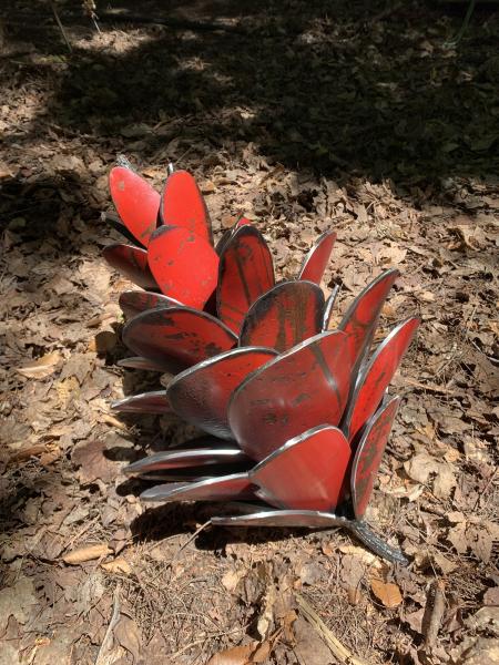 Red Pine Cone