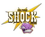 Culture Shock Vintage