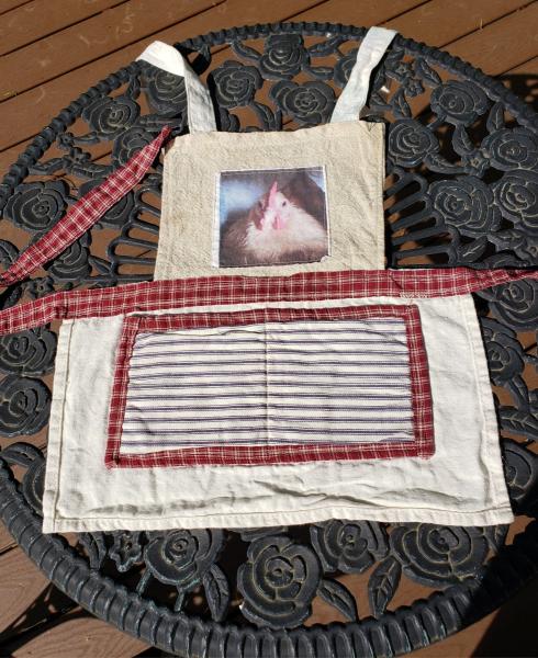 Childs Apron Chicken