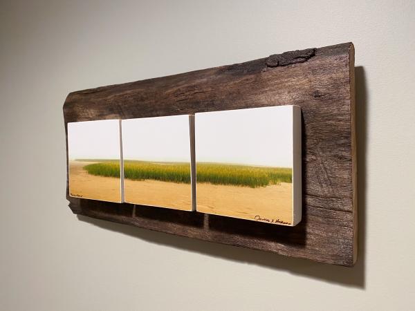 Maine Marsh Triptych - 16"W x 7.5"H picture