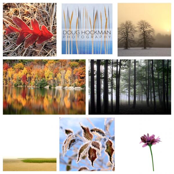 Nature Photography in All Seasons - Custom sizes and mounting options