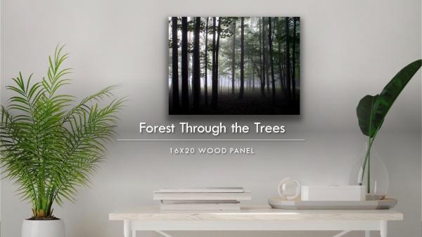 Forest Through the Trees - Custom Photo on Wood