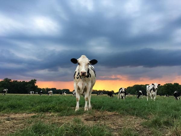 I Herd Thunder - 8X10 Mat