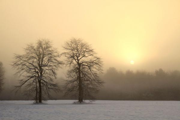 Winter Solstice - 8X10 Mat picture