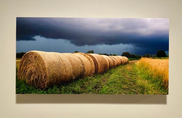 Take Cover - 10X20 Photo on Wood