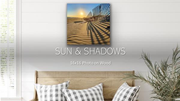 Sun and Shadows - 16X16 Wood Panel picture