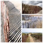 Beach Fences - Custom sizes and mounting options