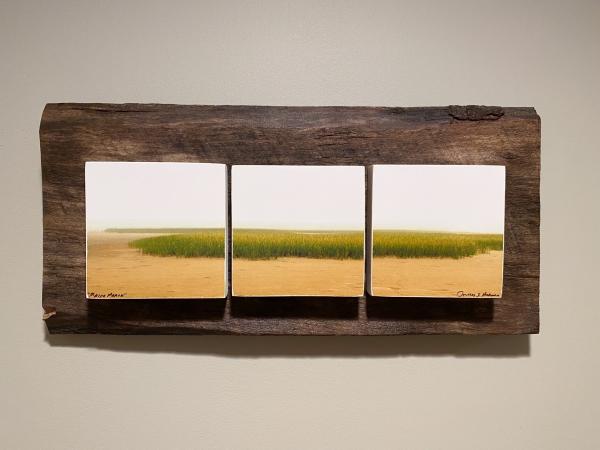 Maine Marsh Triptych - 16"W x 7.5"H