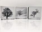 Three Trees - 4X4 Wood Panels