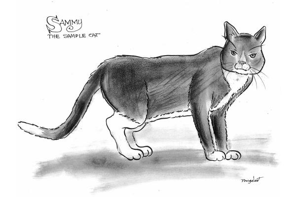 Pet Sketch. Black & White. Full body. picture