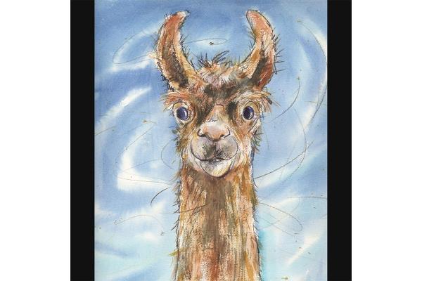 Llama -art print picture