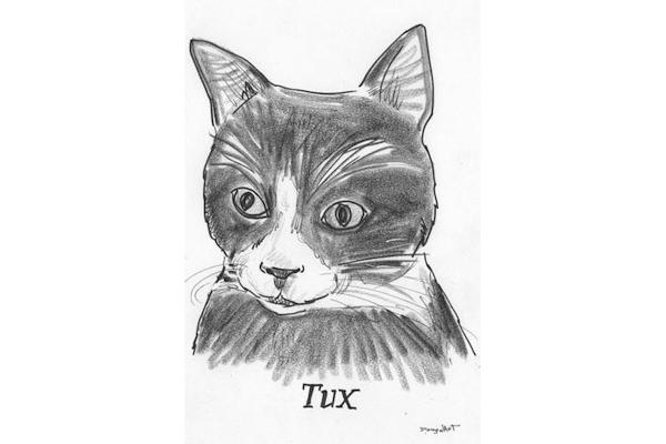 Pet Sketch. Black & White. Head picture