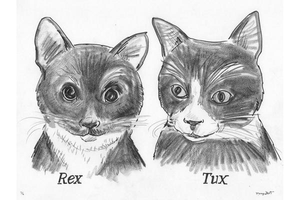 Pet Sketch. 2 Heads. Black & white picture