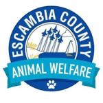 Escambia County Animal Welfare, Animal Control