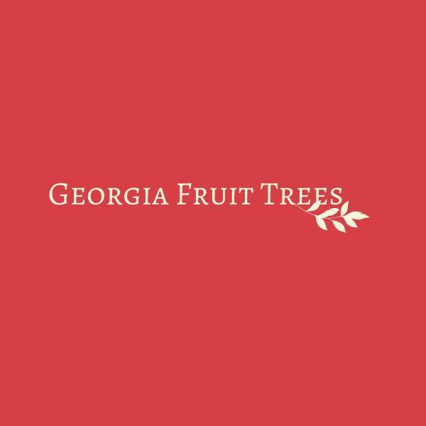 Georgia Fruit Trees