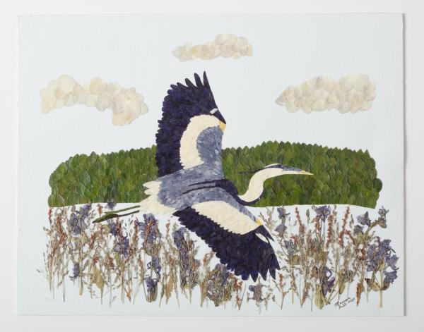 5x7" Cards - Great Blue Heron Takes Flight picture