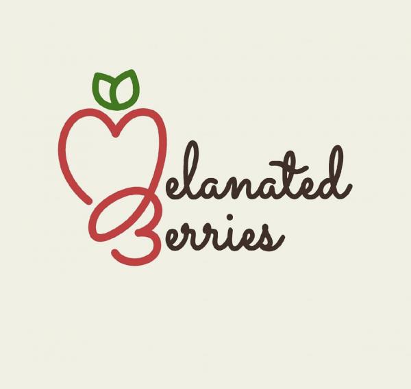 Melanated berries LLC