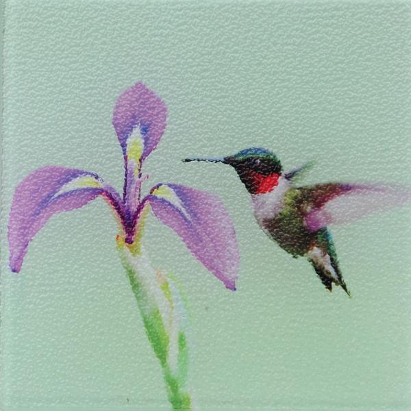 Hummingbird trivet picture